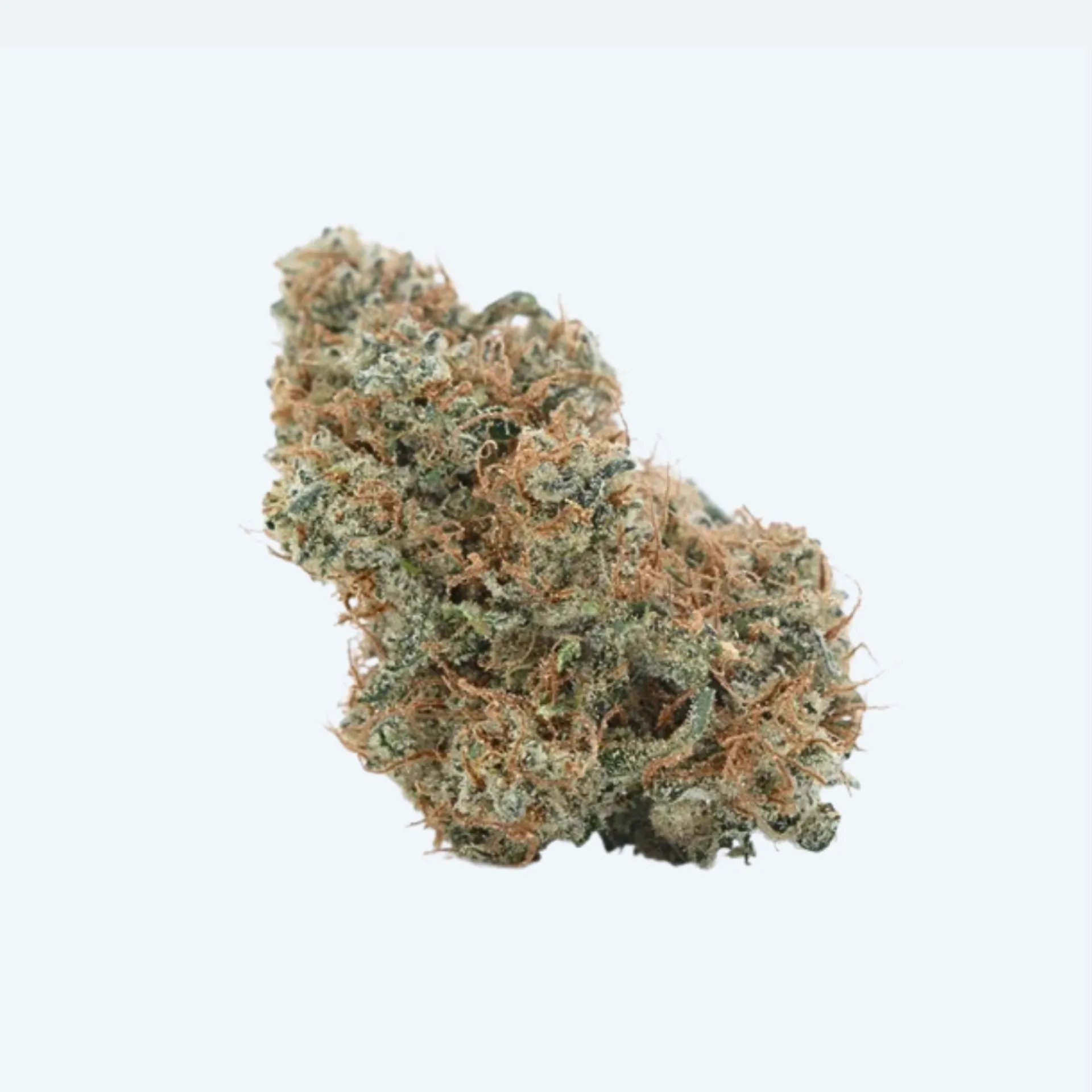 A close-up of a single dried cannabis bud with green and orange hairs against a plain, light background.