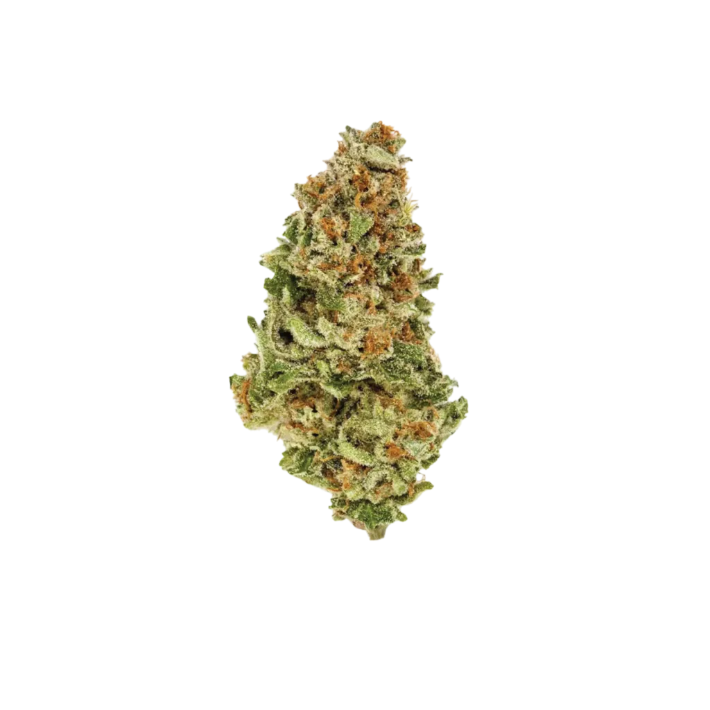 A close-up of a single cannabis bud with green, orange, and frosty white trichomes, isolated on a plain white background.