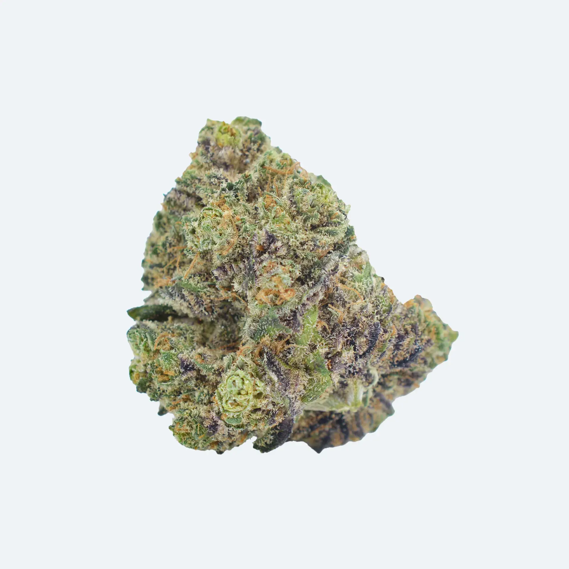 A single cannabis bud with green, purple, and orange hues sits on a plain white background.