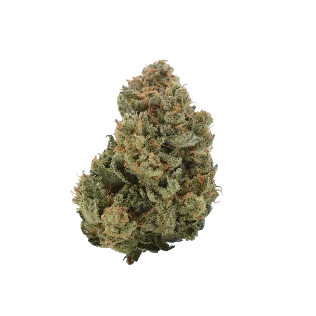 A single cannabis bud with green leaves and orange hairs, covered in small white trichomes, on a white background.