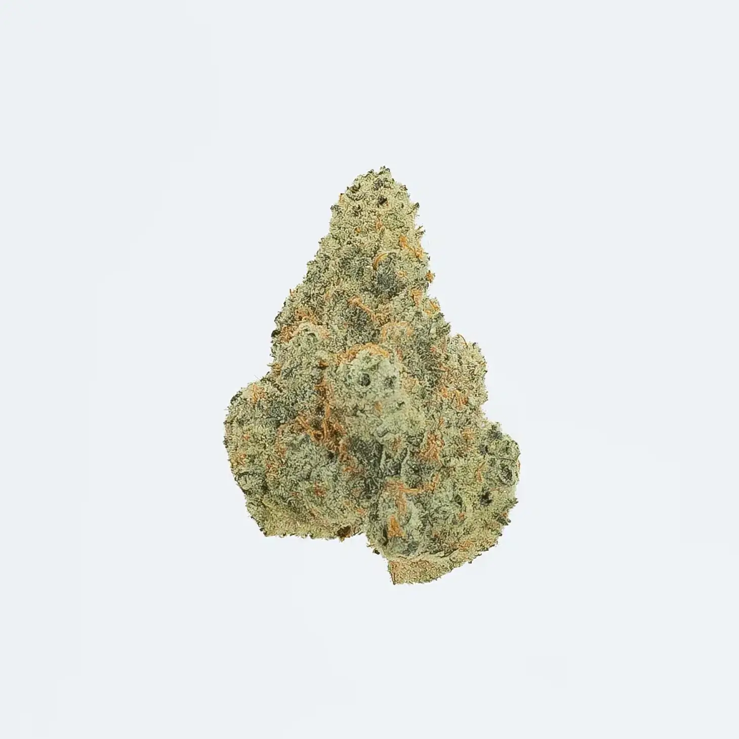 A close-up of a single cannabis bud with visible green, orange, and frosty white trichomes, set against a plain light background.