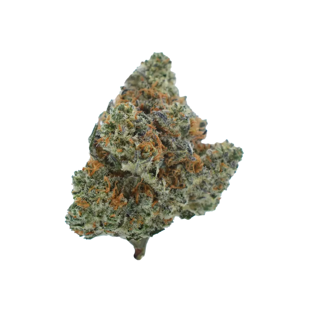 A close-up of a single cannabis bud with green, orange, and purple hues, covered in white crystalline trichomes, on a white background.
