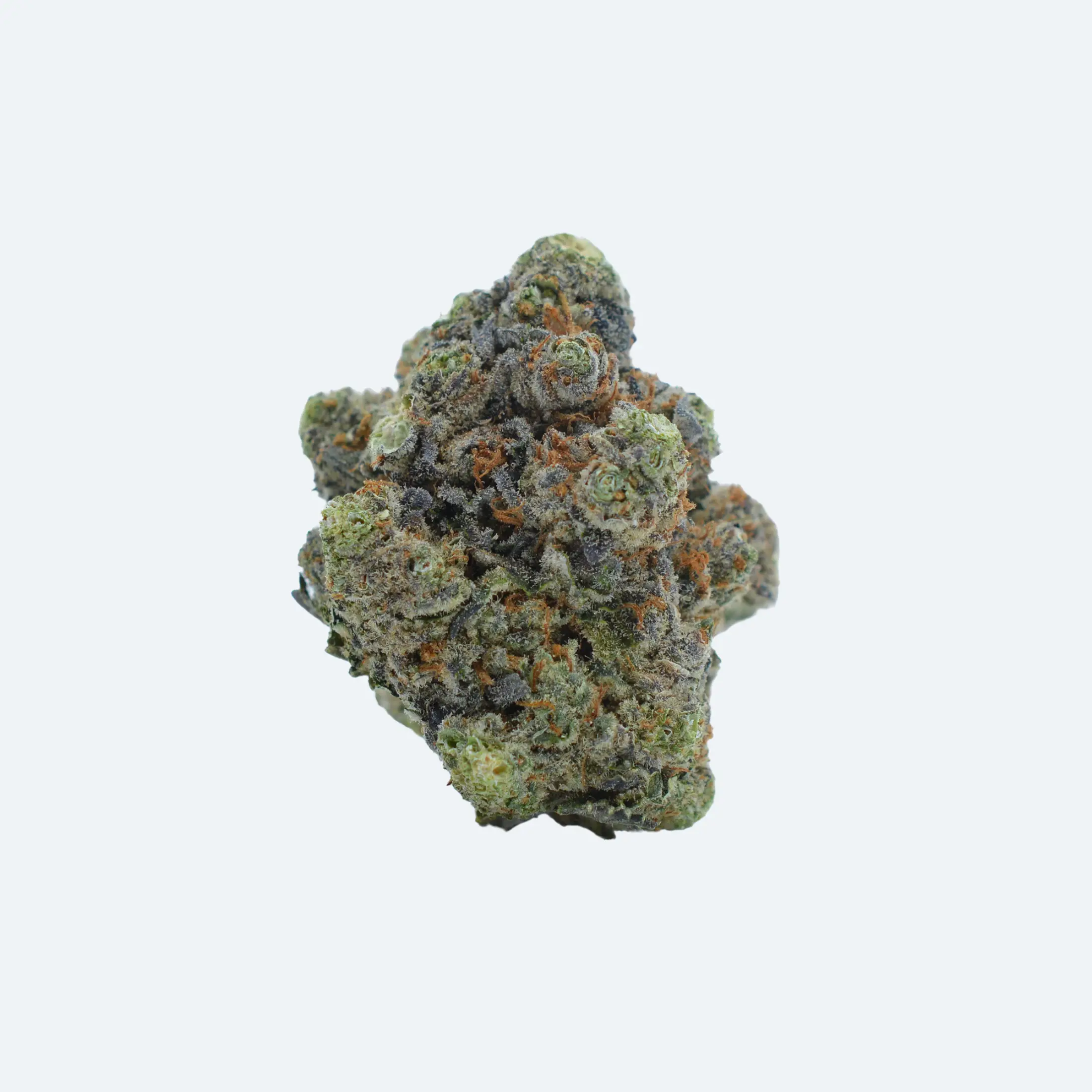 A close-up of a green and purple cannabis bud with orange hairs, isolated on a plain white background.