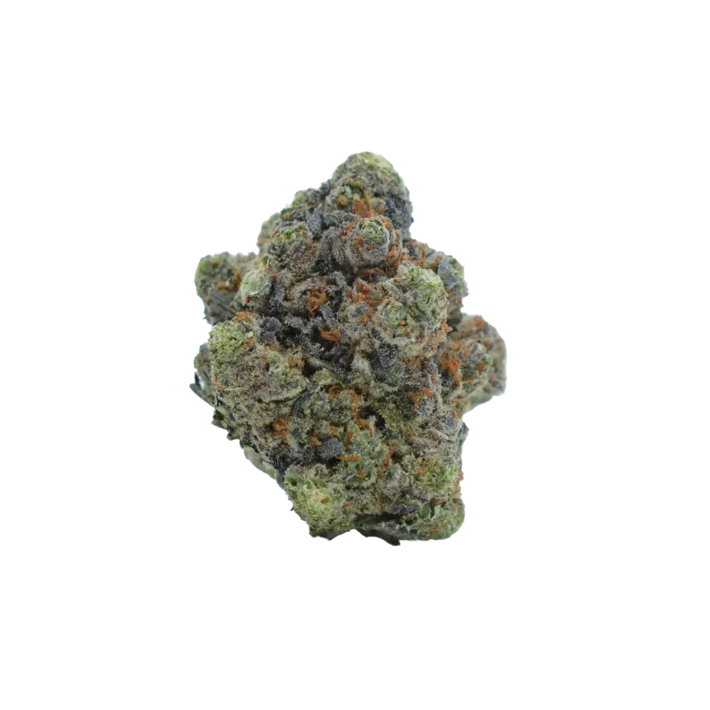 A single cannabis bud with green, orange, and purple hues, isolated on a white background.