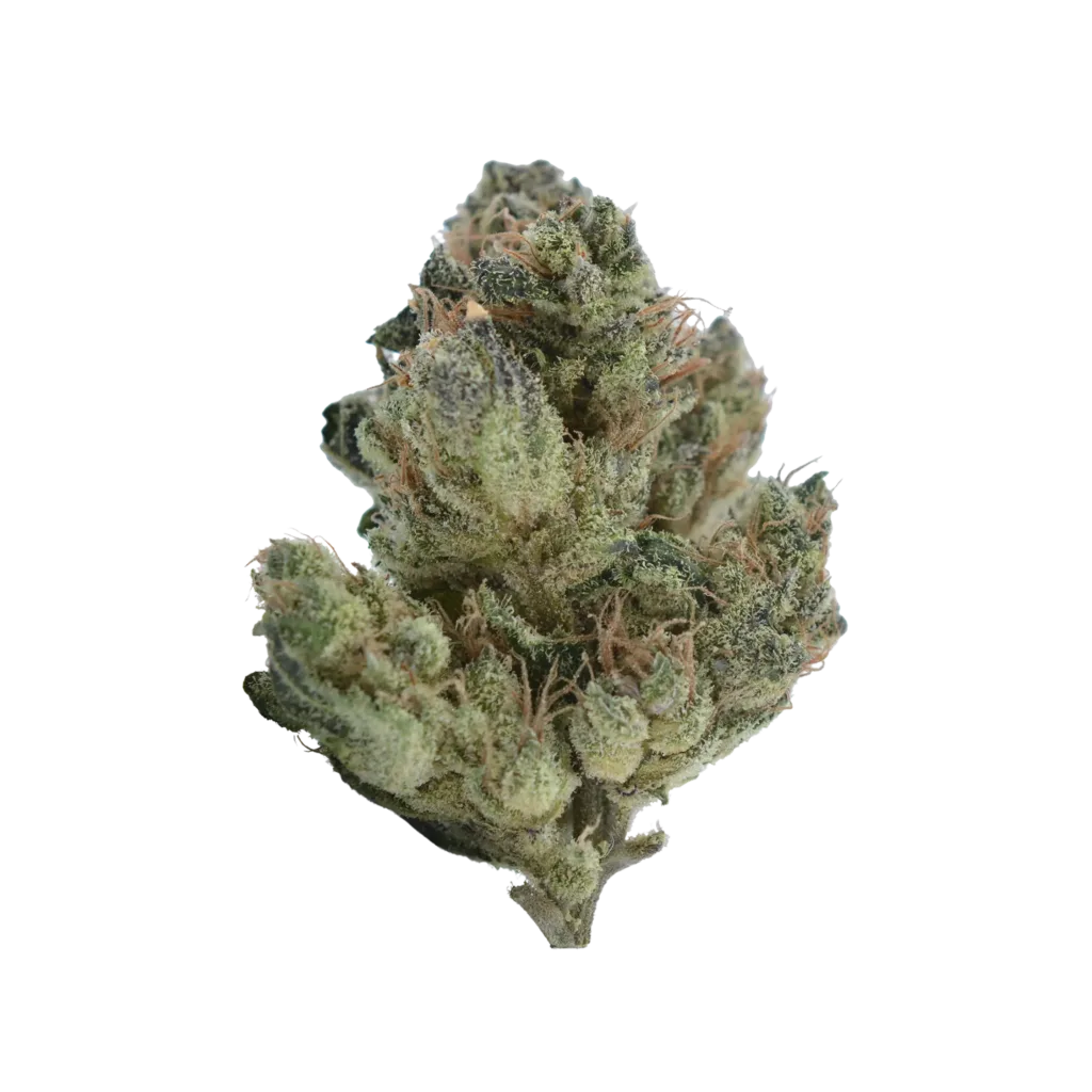 A close-up of a single cannabis bud with visible green, orange, and frosty white trichomes, isolated on a white background.