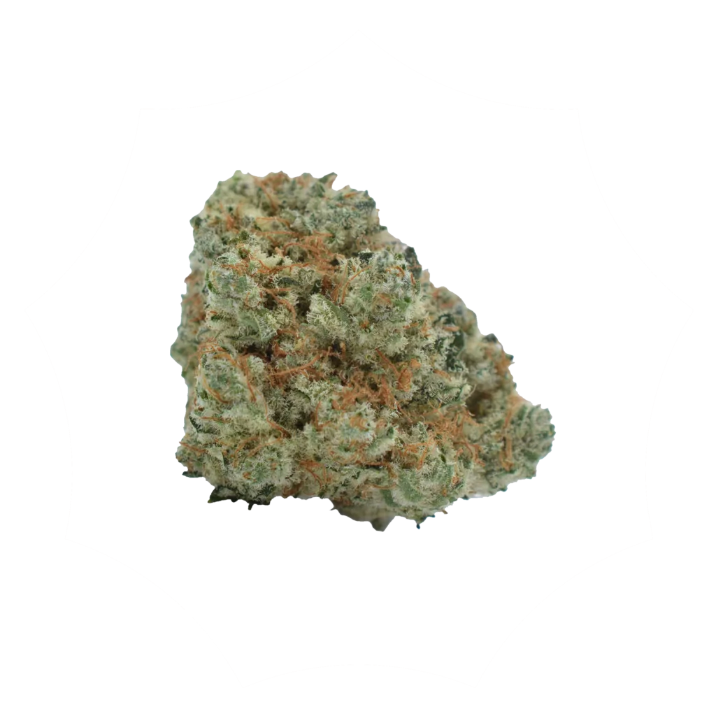 A single green and orange cannabis bud with visible trichomes, isolated on a white background.