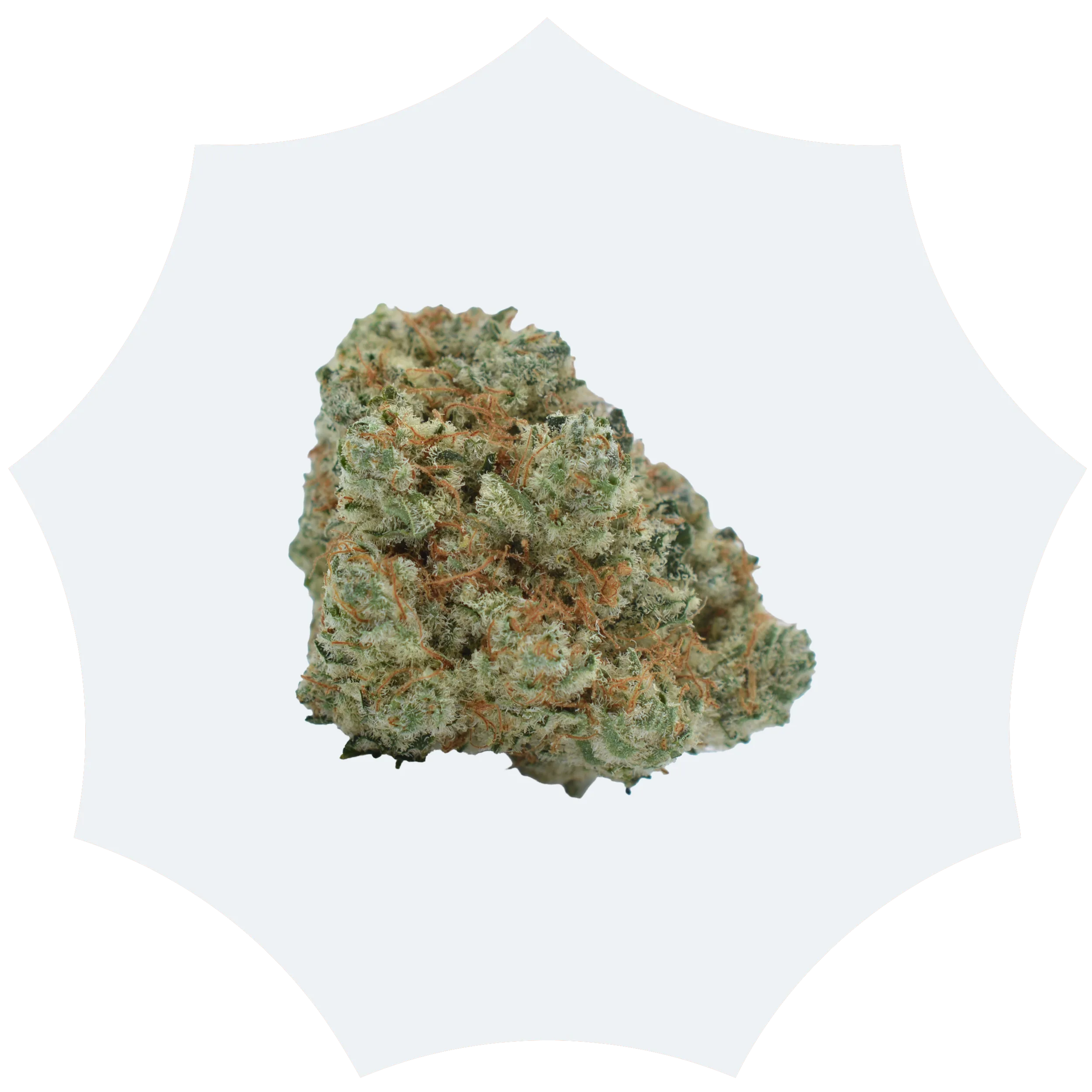 A close-up of a single cannabis bud with green, orange, and frosty white colors, isolated on a white background.