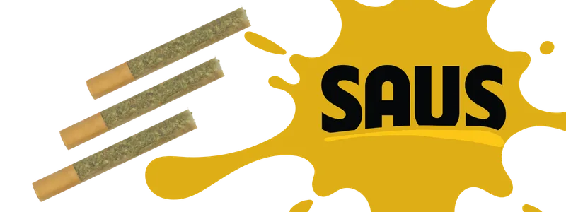 Three pre-rolled cannabis joints next to a yellow paint splatter with the word SAUS in black lettering.